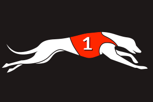 BetDogs bookmaker logo