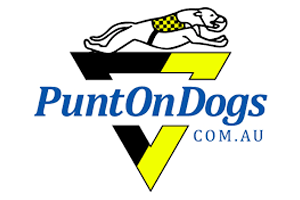 Puntondogs bookmaker logo