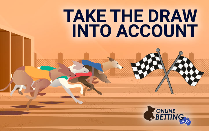 Start of the race with cross-country dogs at Online Betting Aus