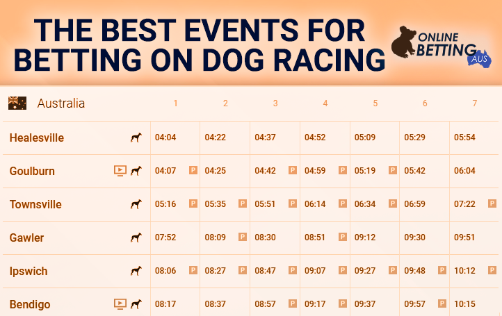 Best Variations of Dog Racing Bets at OnlineBettingAus