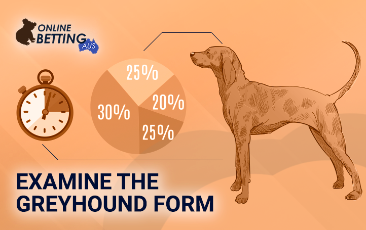 Analysis of the state of the running dog in the race at OnlineBetting Aus