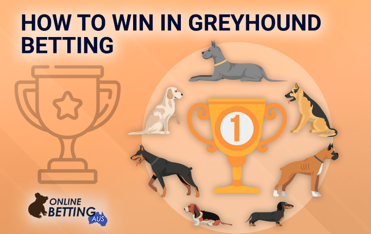 OnlineBettingAus logo and prize-winning dogs