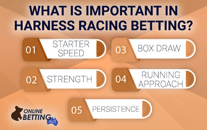 A list of criteria for a successful dog racing bet at OnlineBetting Aus