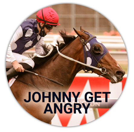 Hound horse Johnny Get Angry at the Malbourne Cup