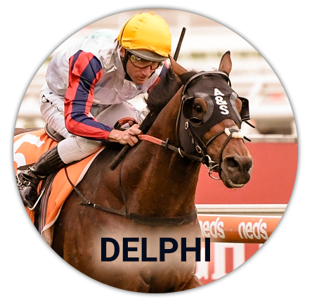 Delphi horse and his jockey at the Melbourne Cup tournament