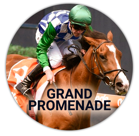 A jockey on his horse Grand Promenade on the track