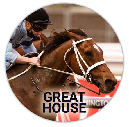 A representative card of the horse Great House
