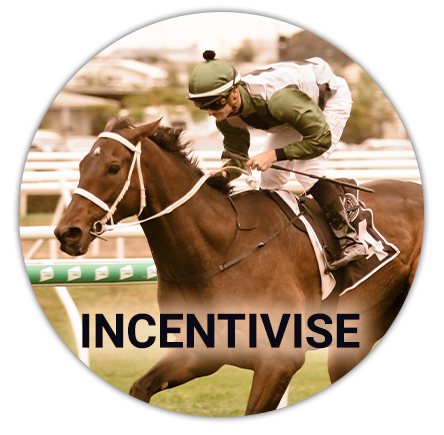 A Melbourne Cup participant on his horse Incentivise