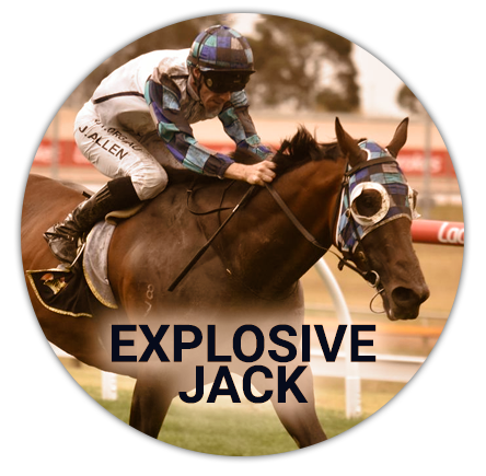 The horse Explosive Jack participating in the Melbourne Cup tournament