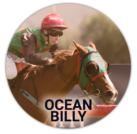 Ocean Billy horse and his jockey at the Melbourne Cup tournament