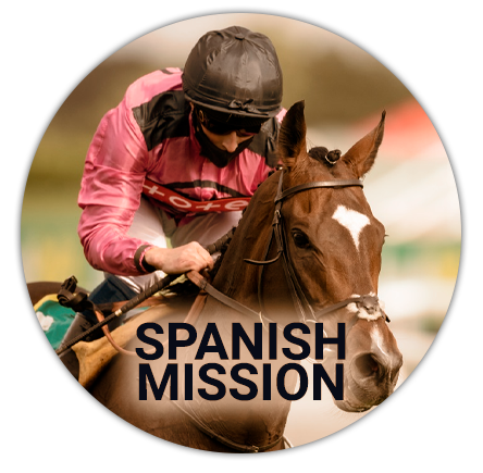 Spanish Mission tournament horse at the Malbourne Cup