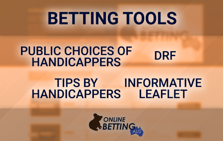 The methods of correct bets at Online BattingAus