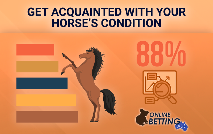 Characteristics and features of the selected horse at the races at OnlineBettingAus