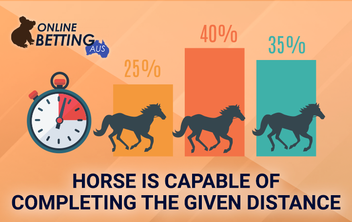 Timer and Horse Performance Infographics at OnlineBetting Au