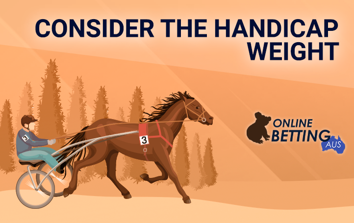 A horse with extra weight on the back and the OnlineBettingAus logo