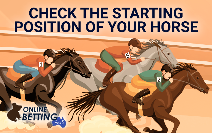 Horse Racing on the track at Online Betting