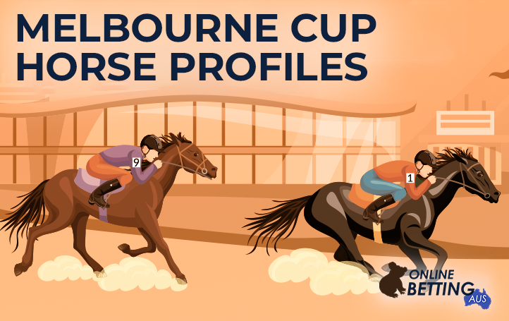 Tournament horse races on the track at OnlineBetting Aus